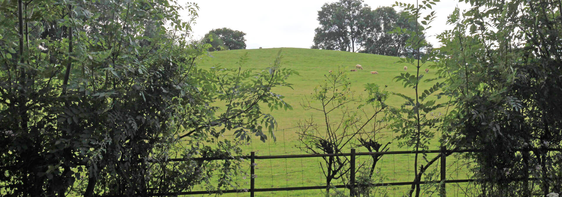 Green Spaces Nell Ball Hill