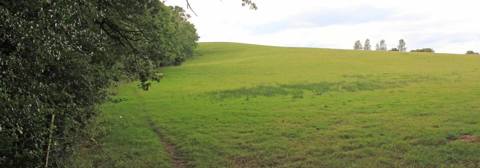 Green Spaces Nell Ball Hill